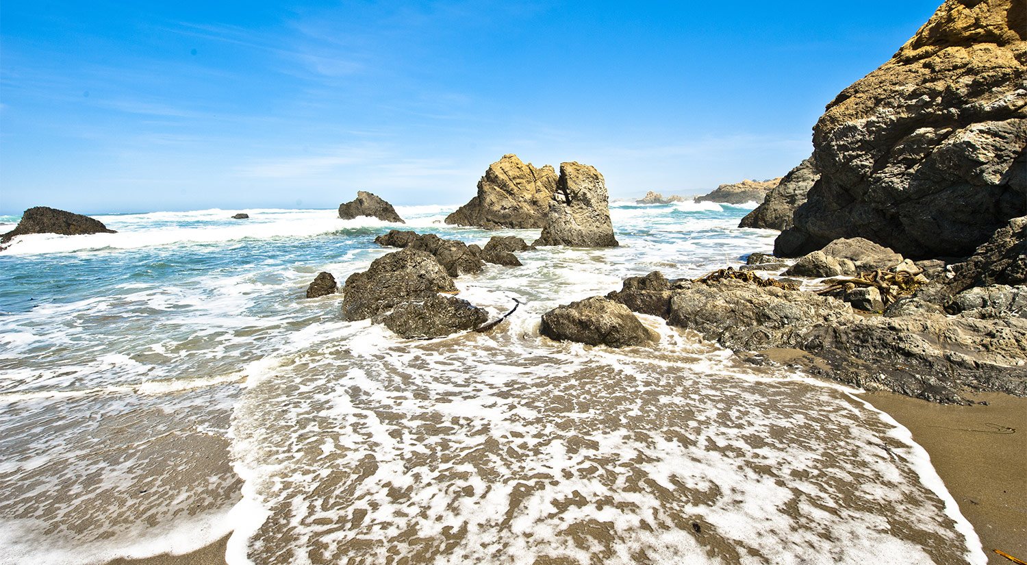 Explore The Beaches Of Mendocino and Fort Bragg