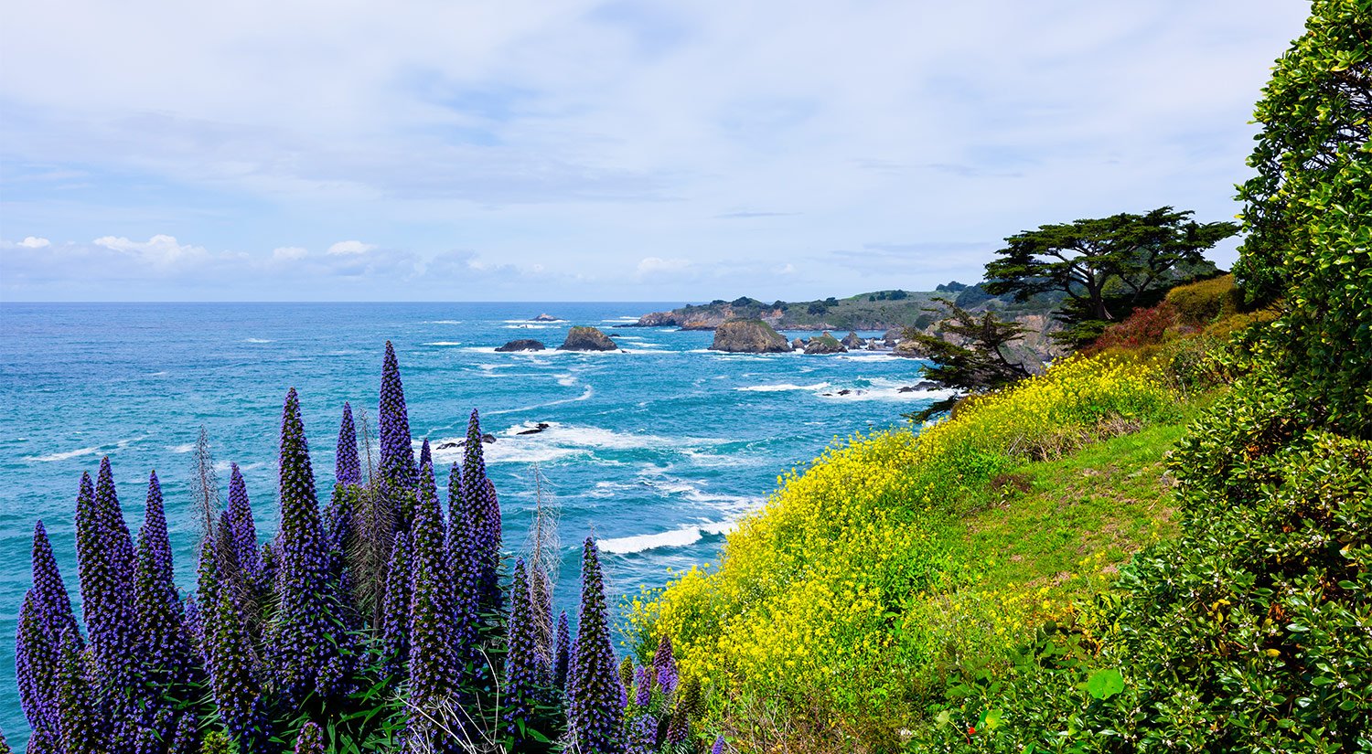 Located on the north coast of the pch in historic mendocino