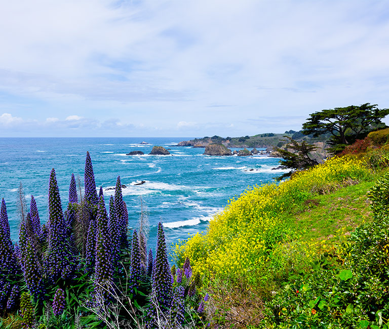 Explore The Splendor Of Mendocino