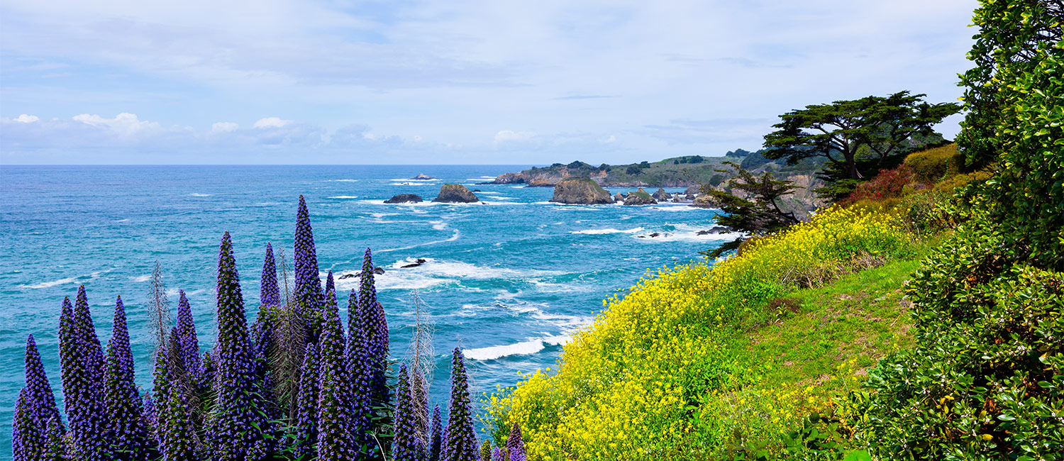 Explore The Splendor Of Mendocino