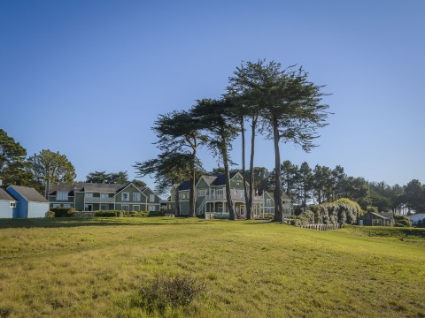 Hill House Inn - Towering Trees